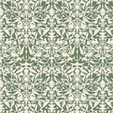 Biquio Tea Green