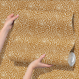 Sprong Apricot
