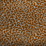 Sprong Apricot