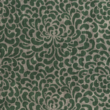 Sprong Fern Green
