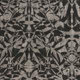 Biquio Ebony