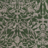 Biquio Tea Green