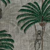 Monkey Green & Graphite
