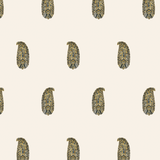 Paisley Air Biscotti