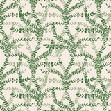 SALLES OLIVE