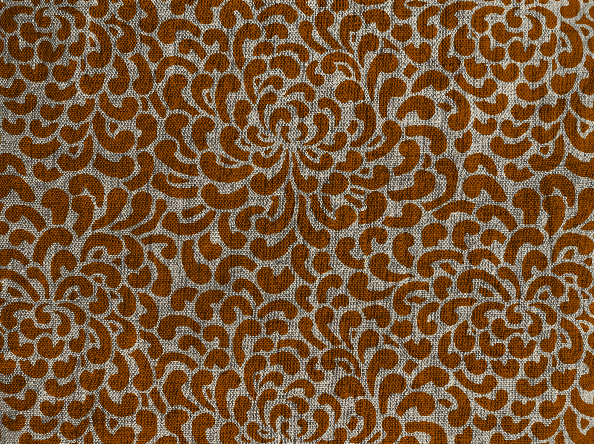 Sprong Apricot