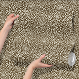 Sprong Coffee
