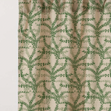 SALLES OLIVE